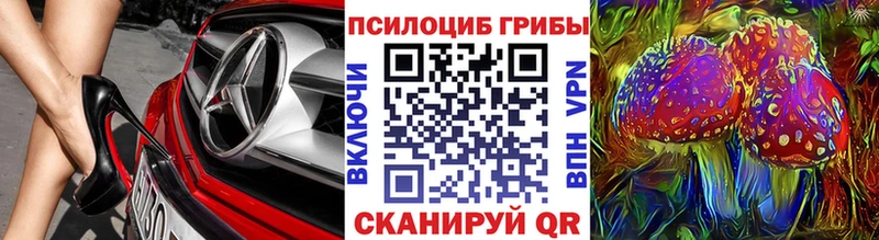 Псилоцибиновые грибы Psilocybe  продажа наркотиков  Кировск 