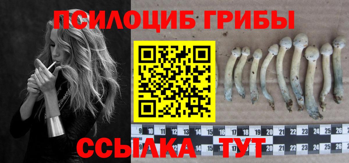 Канабис  Кировск  Меф   Вход с VPN  Меф МЯУ МЯУ  Гашиш  Каннабис 