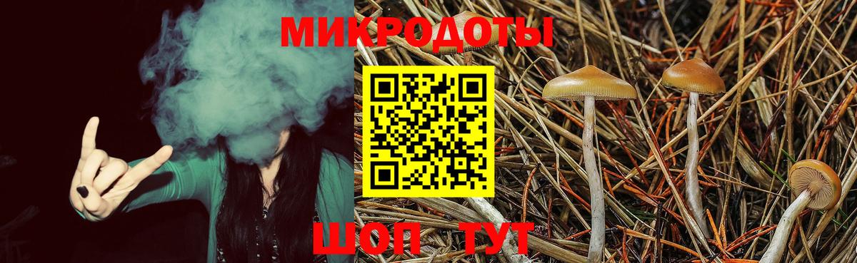 Галлюциногенные грибы MAGIC MUSHROOMS  Кировск 