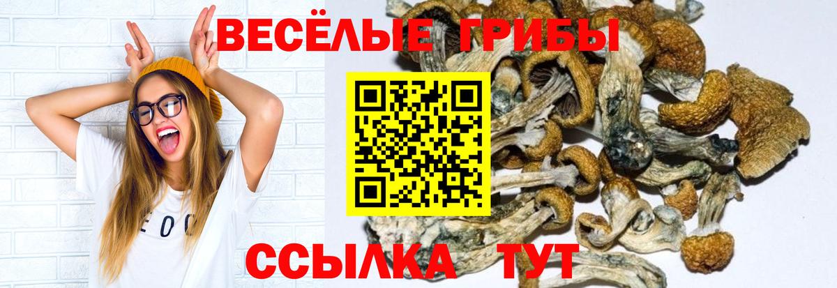 Канабис Кировск