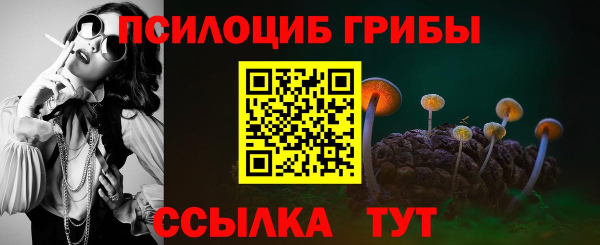 Кировск  Псилоцибиновые грибы Magic Shrooms  Вход с VPN 