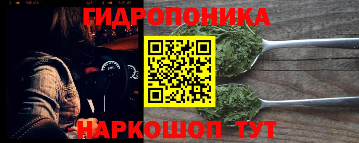 МАРИХУАНА Ganja  Бошки Шишки гибрид  Кировск  Конопля гибрид 